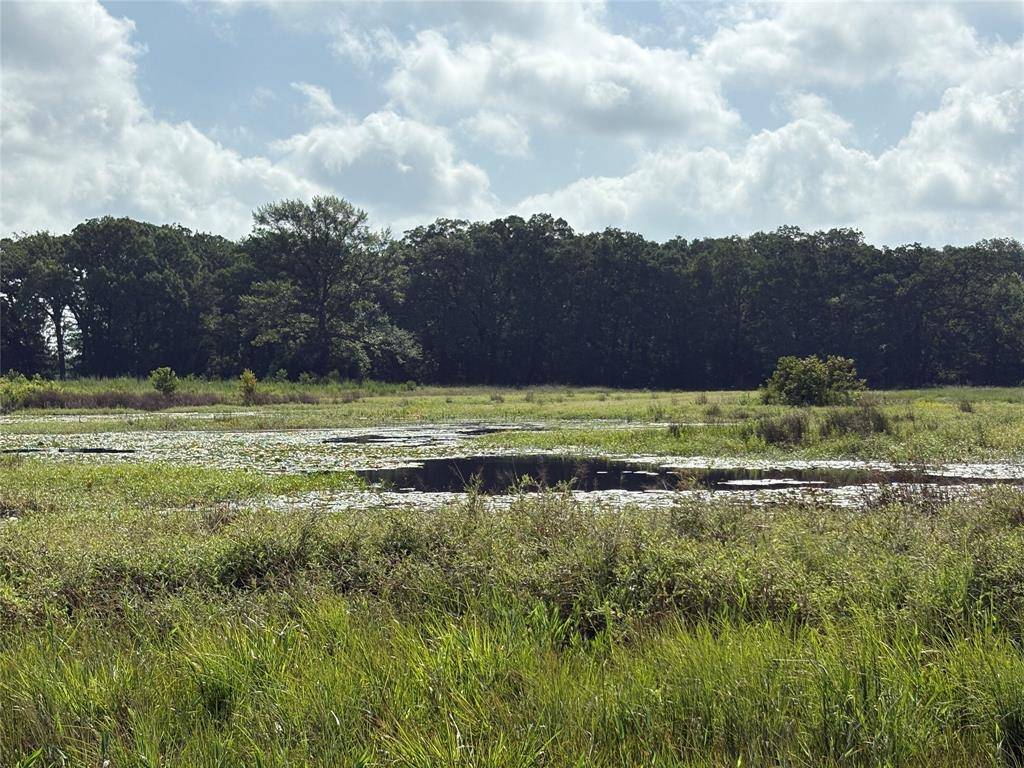 Talco, TX 75487,TBD CR 2120 #2