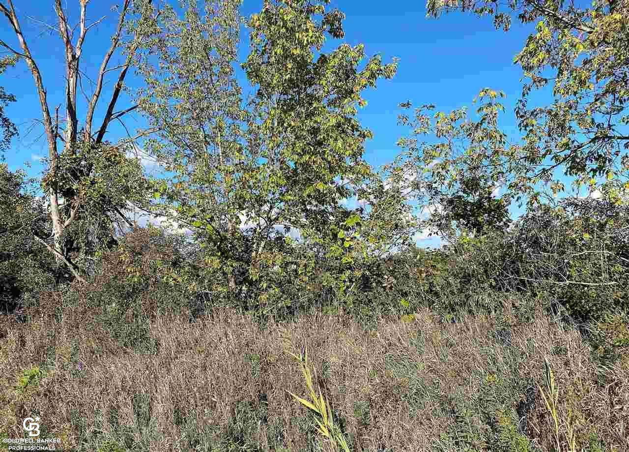 Richmond Twp, MI 48062,00 Deland