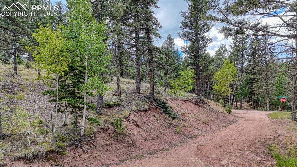 Florissant, CO 80816,18 Falcon CIR