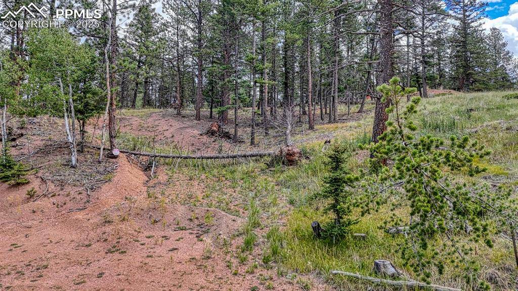 Florissant, CO 80816,18 Falcon CIR