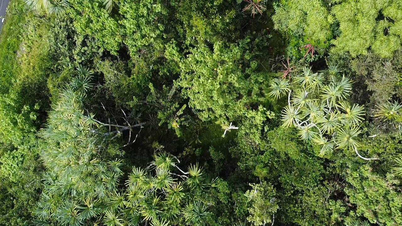 Pahoa, HI 96778,KAHAKAI BLVD