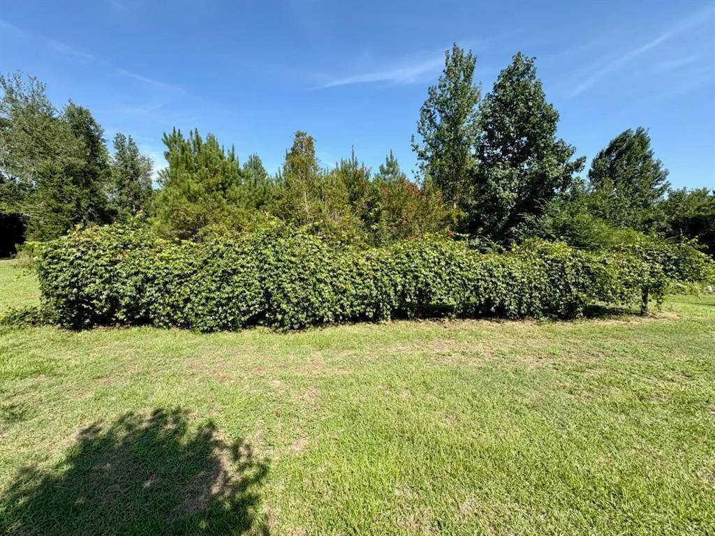 Ward, LA 71070,992 Lookout Tower Road