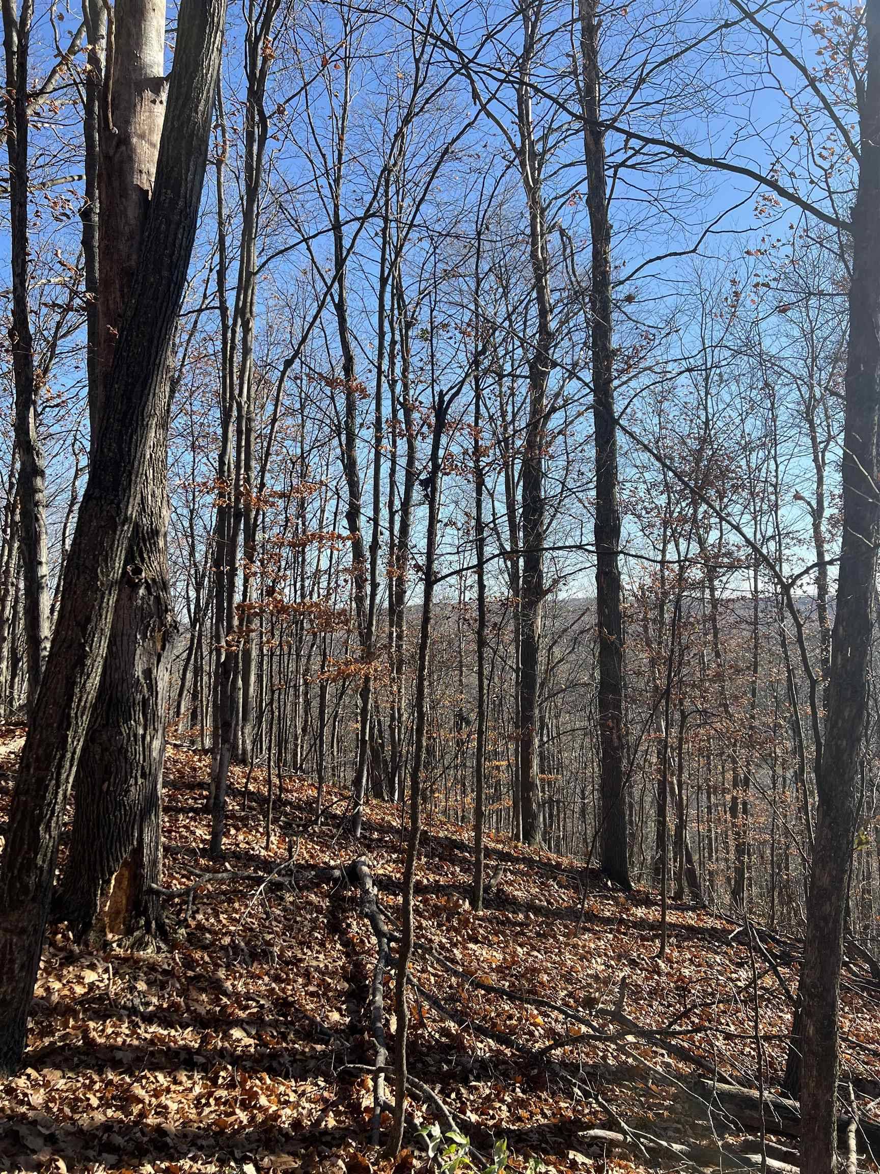 Rapid City, MI 49676,VL Kellogg Road