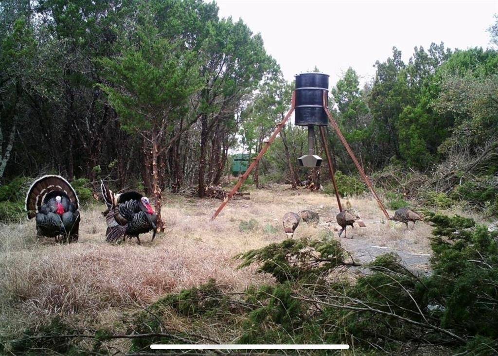 Cross Plains, TX 75232,52 Acres CR-407 Road