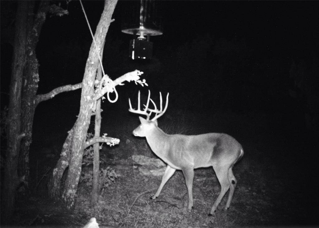 Cross Plains, TX 75232,52 Acres CR-407 Road
