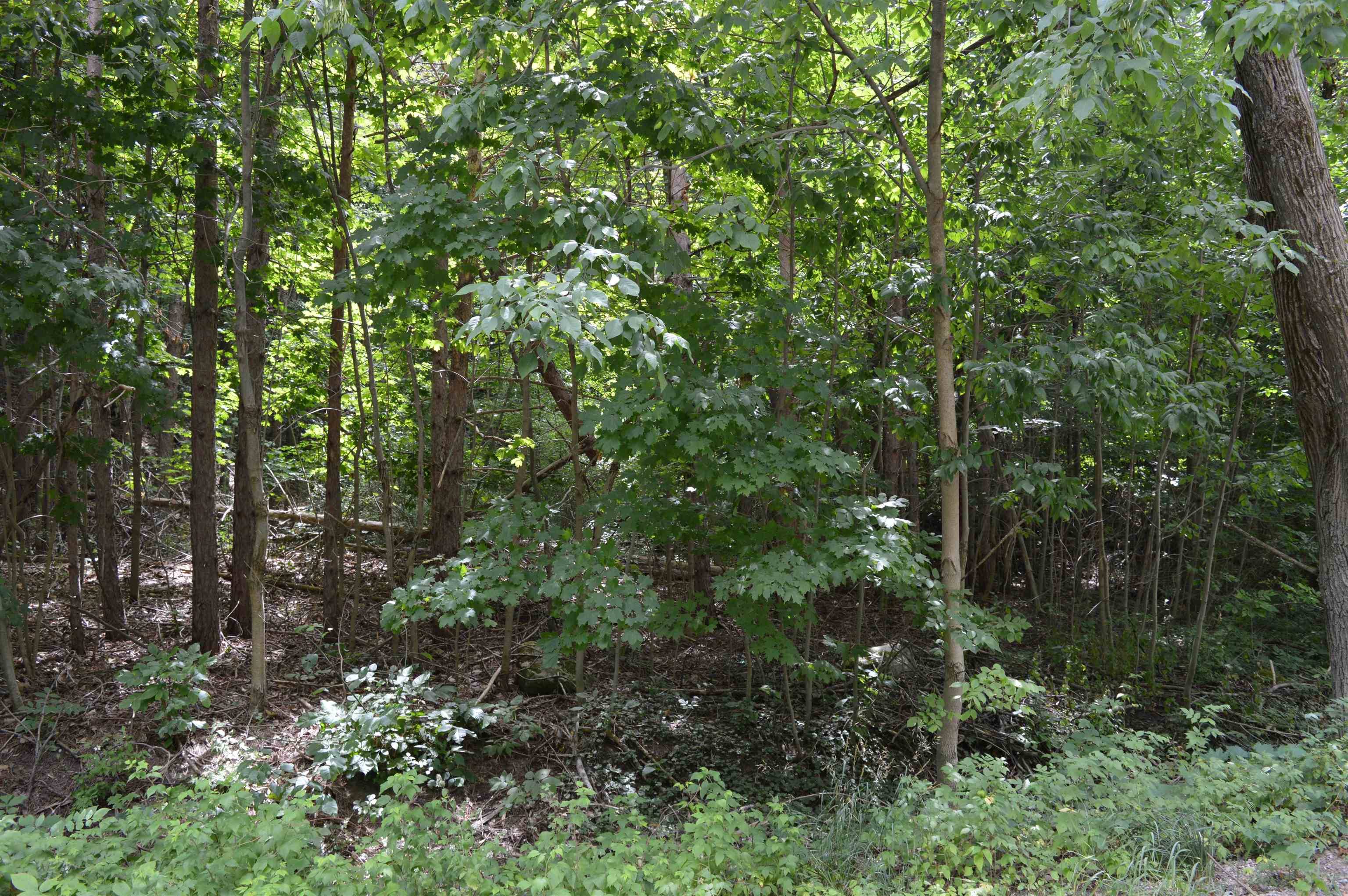 Rapid City, MI 49676,Zimmerman Road