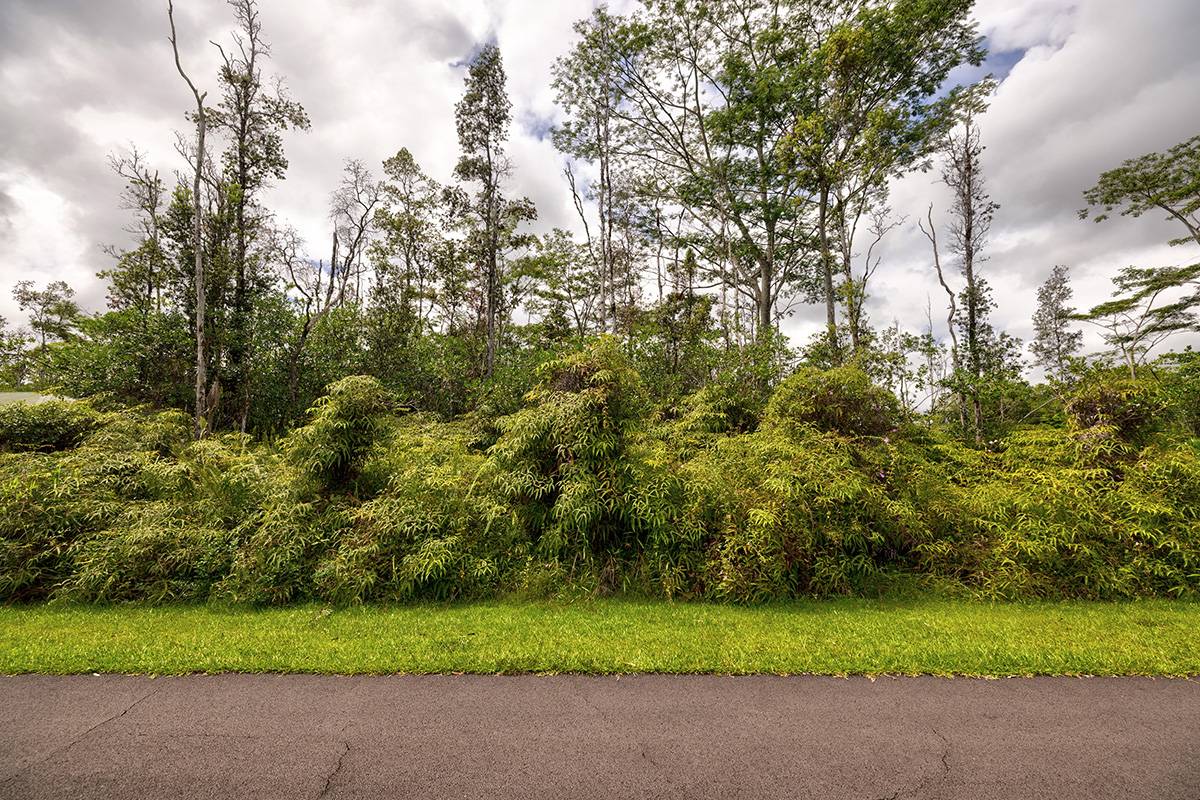 Pahoa, HI 96778,15-2810 S IAO ST