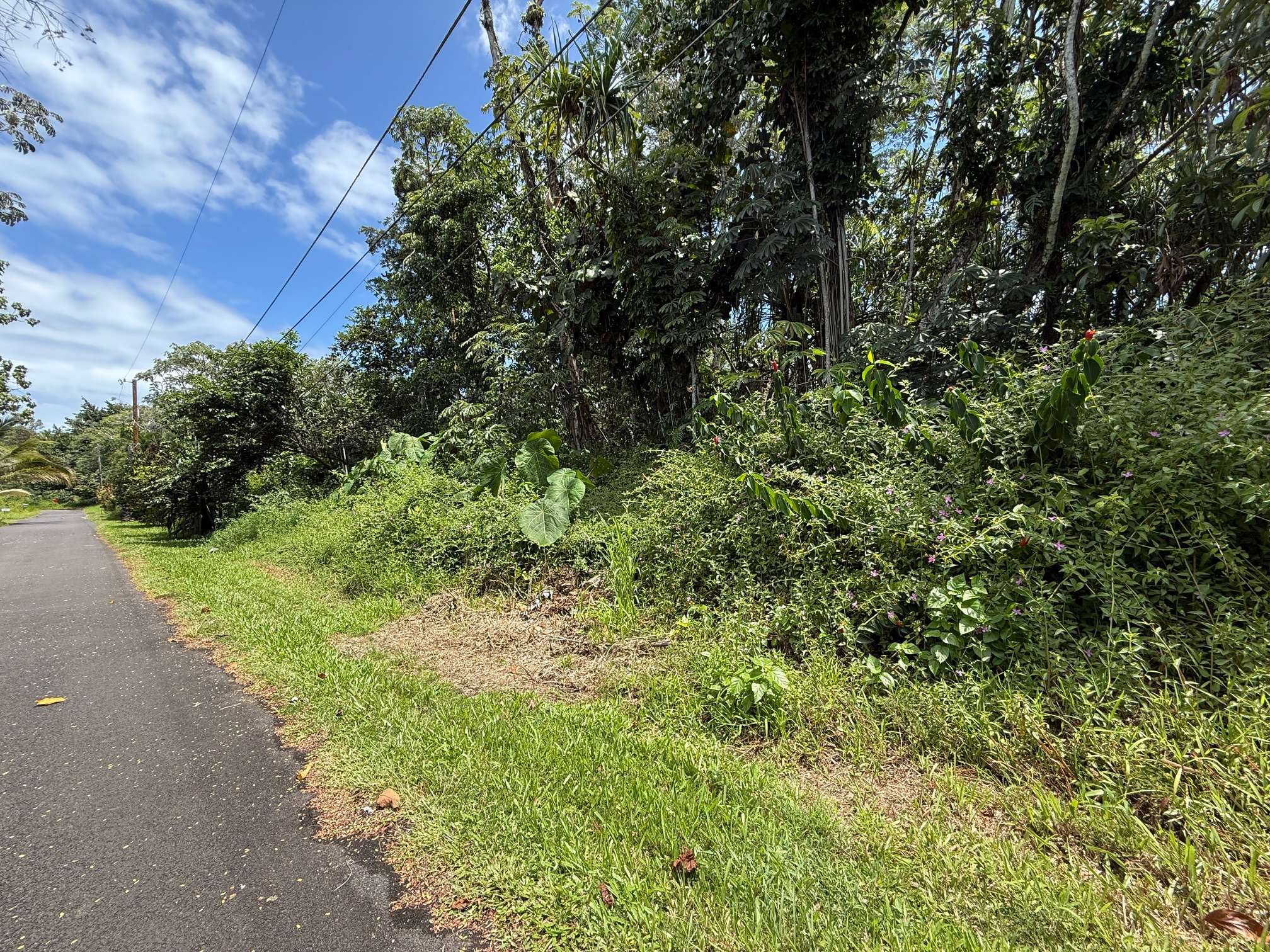 Pahoa, HI 96778,OIO ST