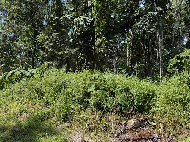 Pahoa, HI 96778,OIO ST