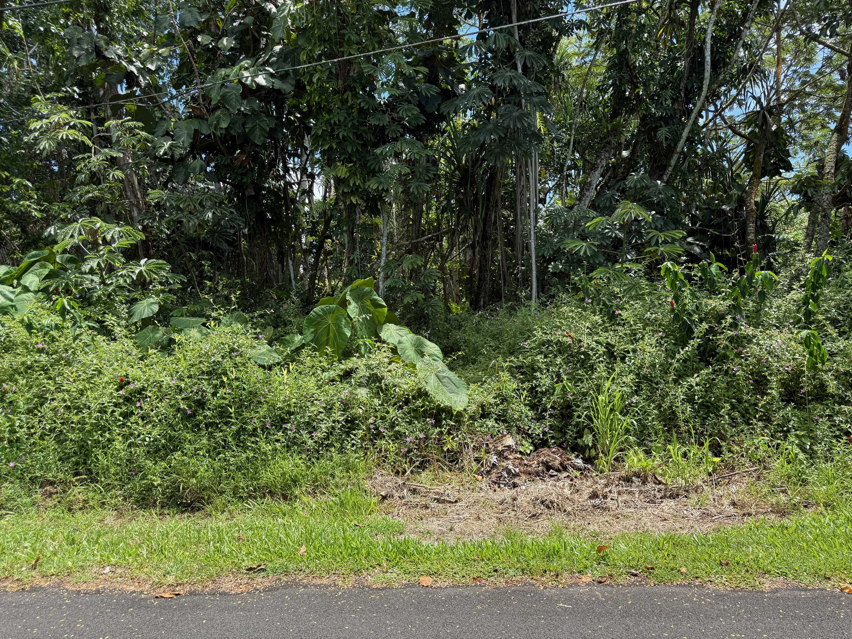 Pahoa, HI 96778,OIO ST