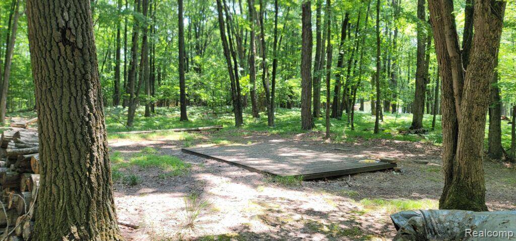 Farwell, MI 48622,5353 W Fawn  TER