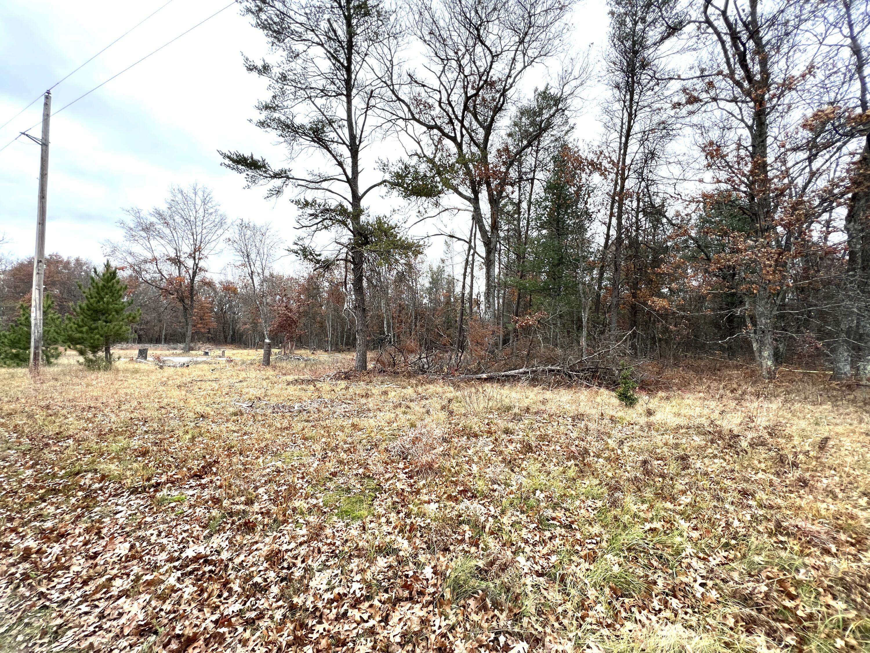 Idlewild, MI 49642,2442 E 38th Street ST