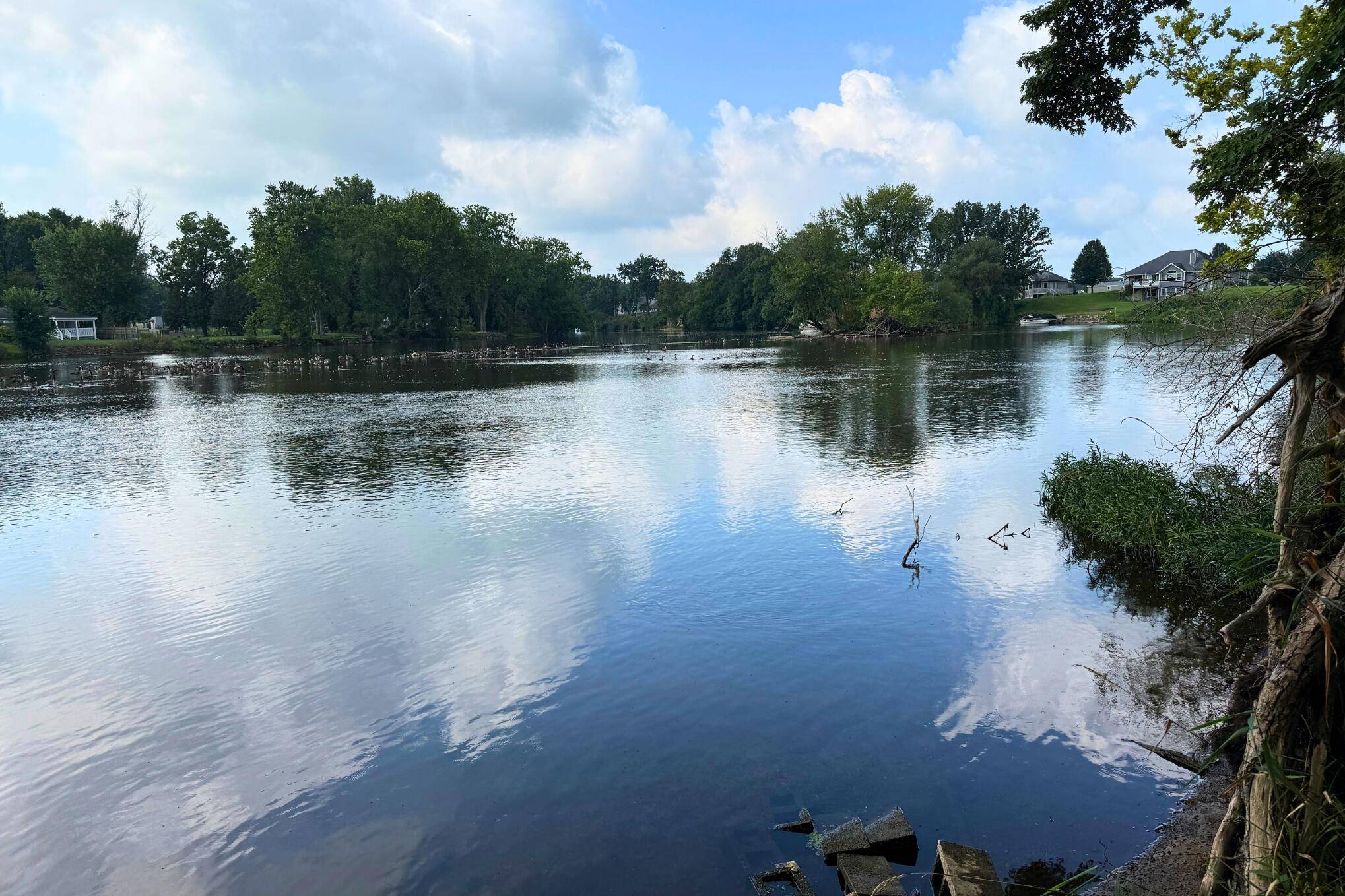 Constantine, MI 49042,v/l on Locust ST