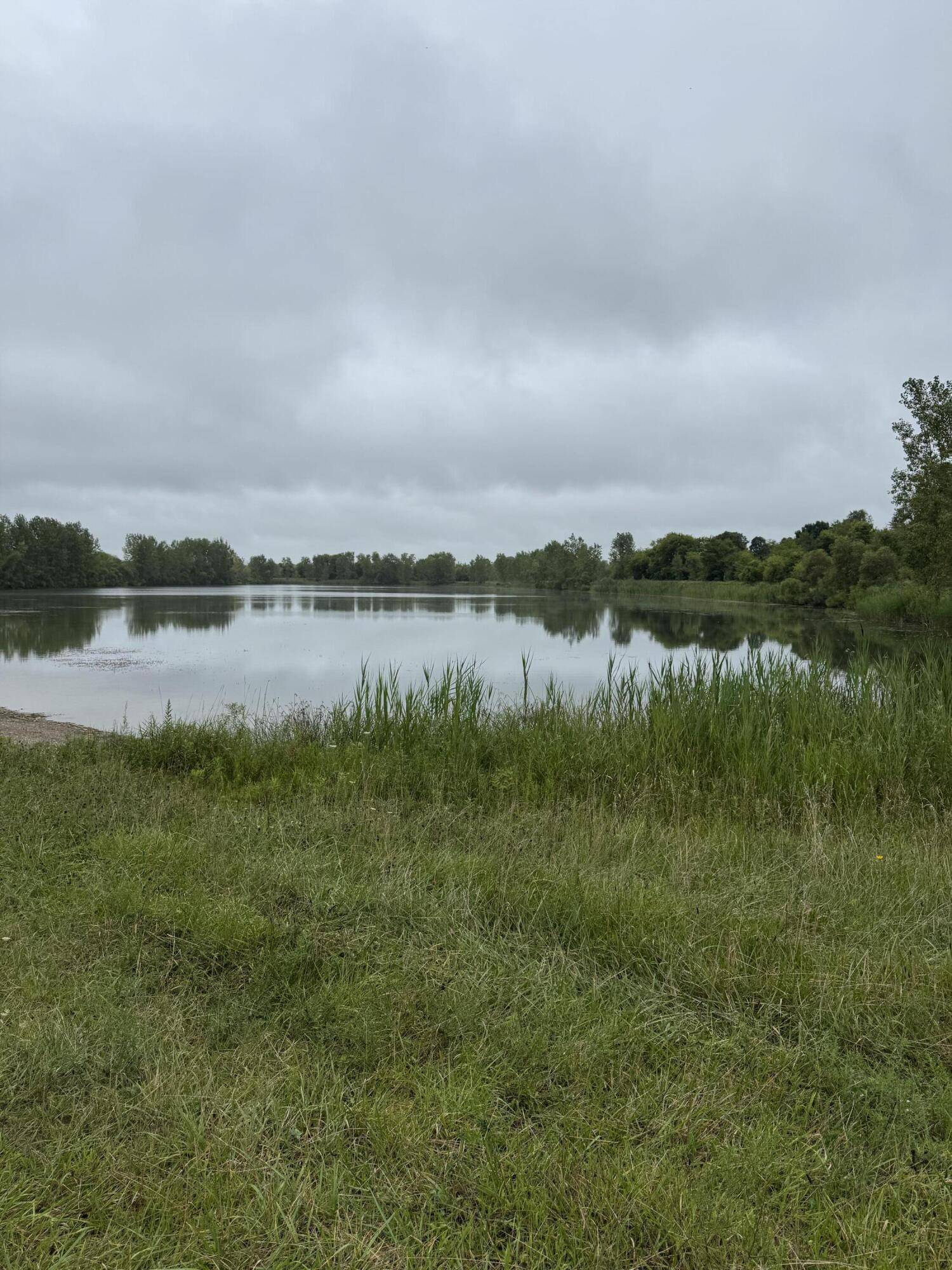 Potterville, MI 48876,6971 Hartel RD