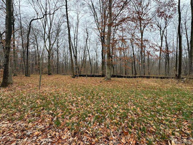 Brighton, MI 48114,Parcel 1 MCCLEMENTS RD