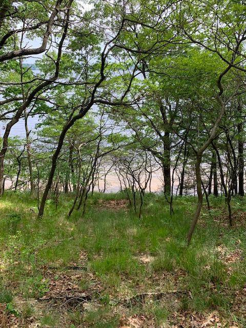 Montague, MI 49437,Lot 12 Lakeshore ST