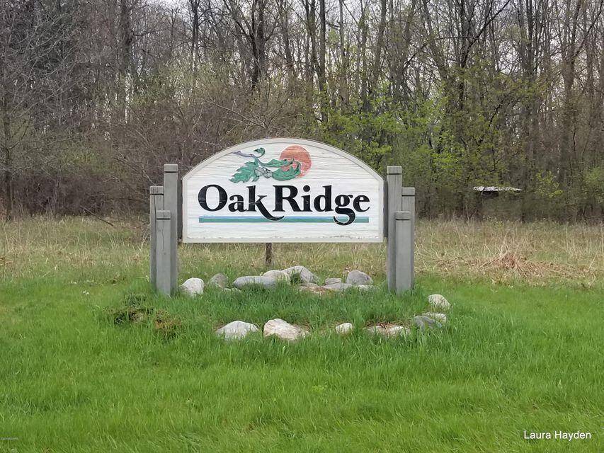 Lowell, MI 49331,Vising DR #LOT 6