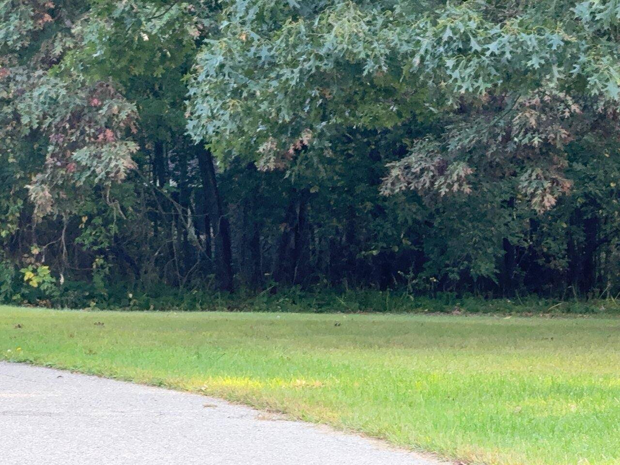 129 Midway ST, Belding City, MI 48809