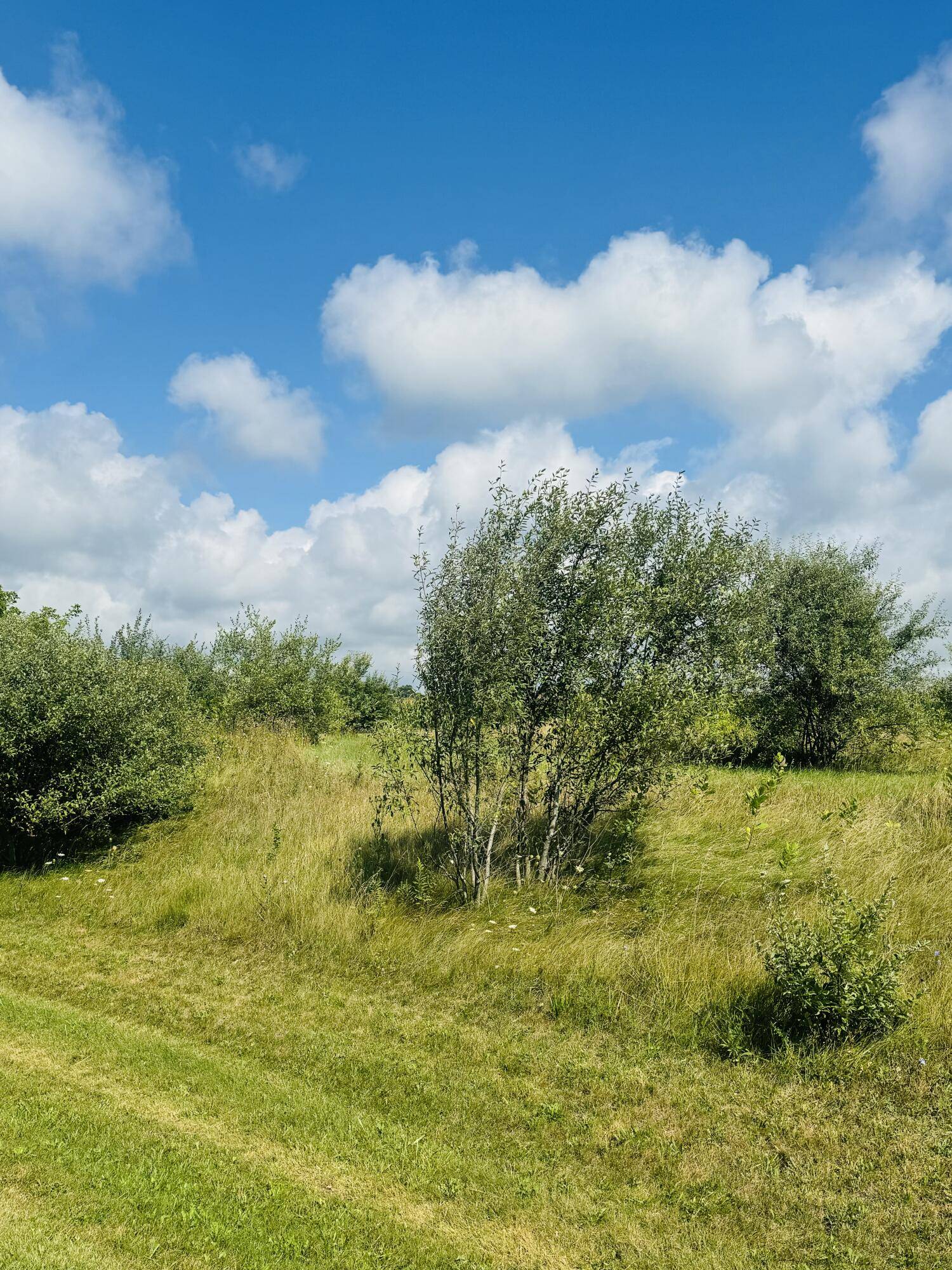 Scottville, MI 49454,W Waters Edge DR #Lot 2