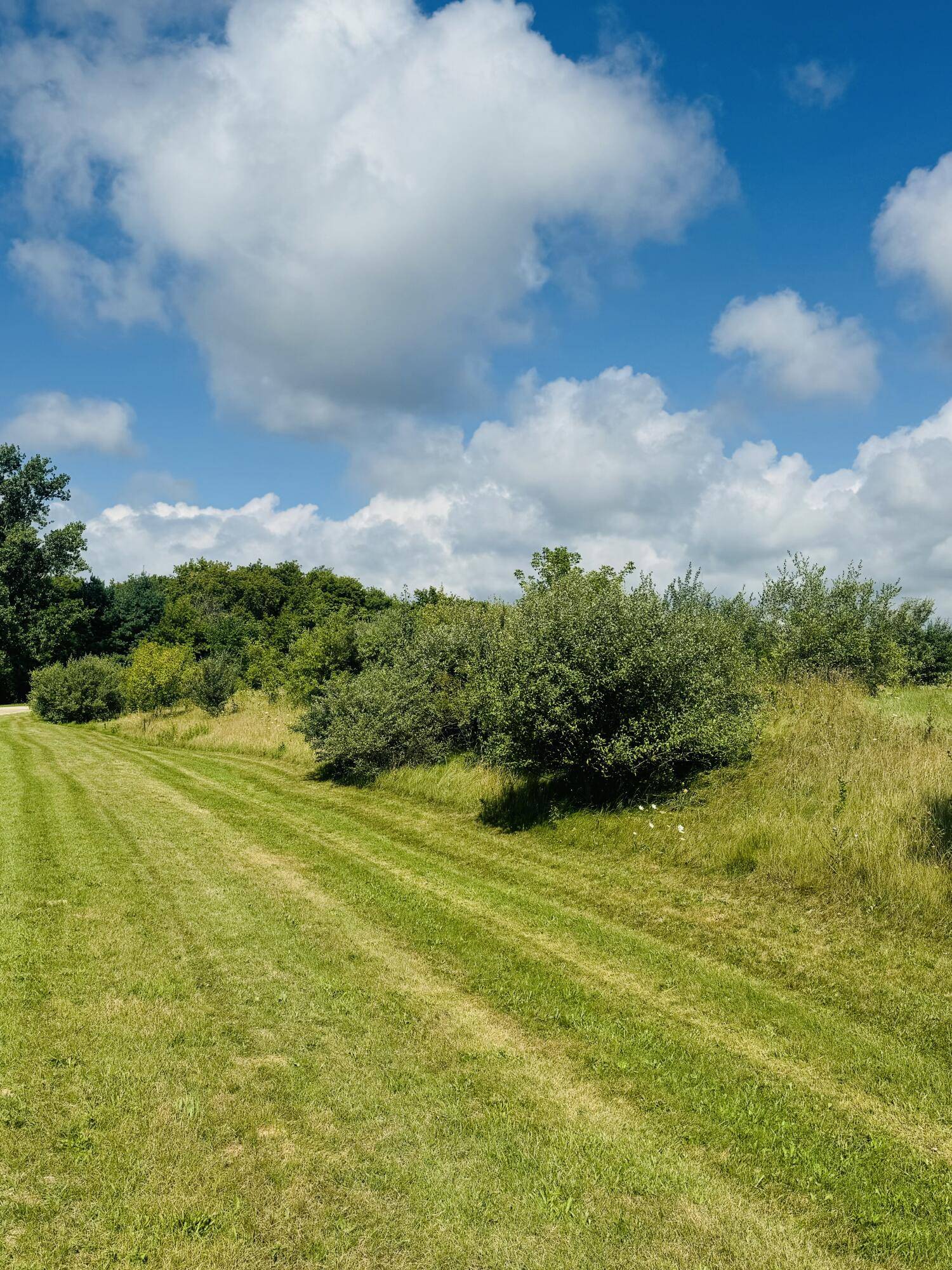 Scottville, MI 49454,W Waters Edge DR #Lot 2