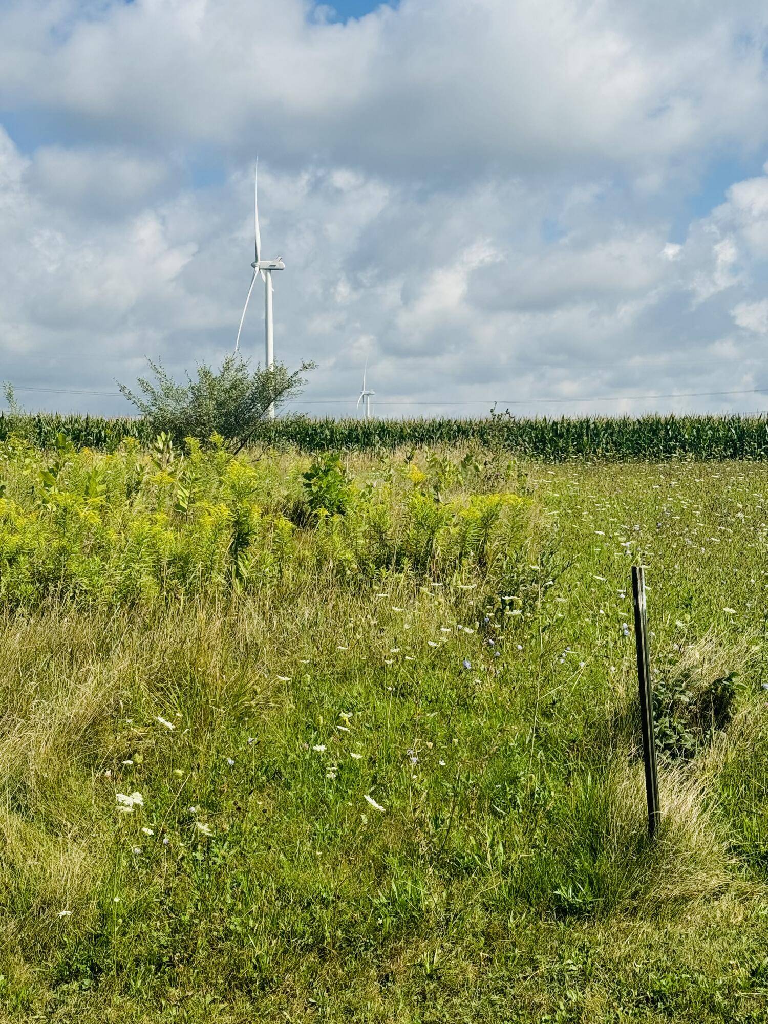 Scottville, MI 49454,W Waters Edge DR #Lot 2