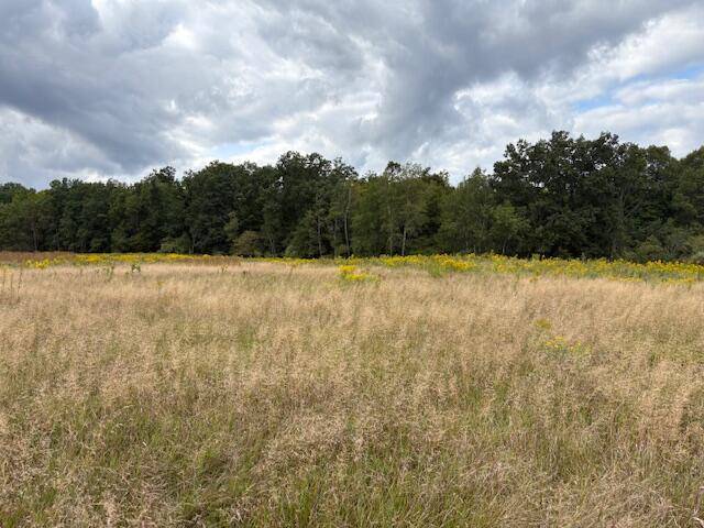 Brethren, MI 49619,Flarity RD