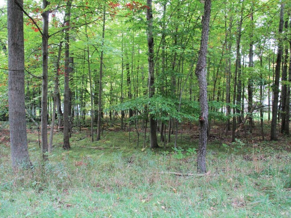 Stanwood, MI 49346,8478 Highland TRL #7