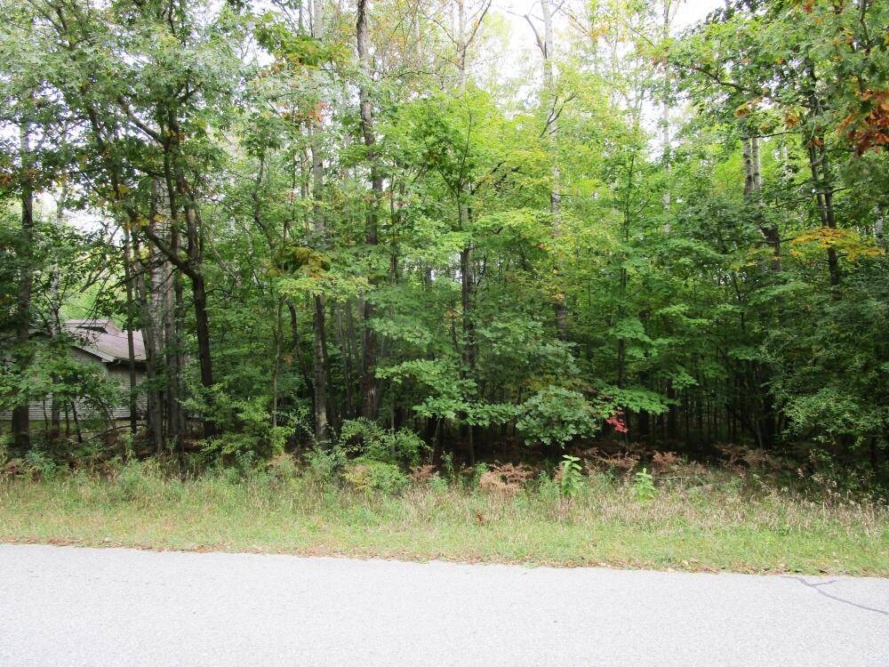 Stanwood, MI 49346,8478 Highland TRL #7