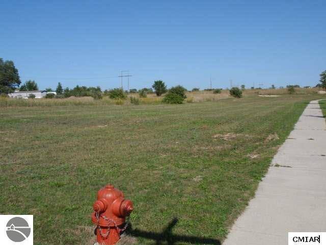 Alma, MI 48801,TBD Heather LN