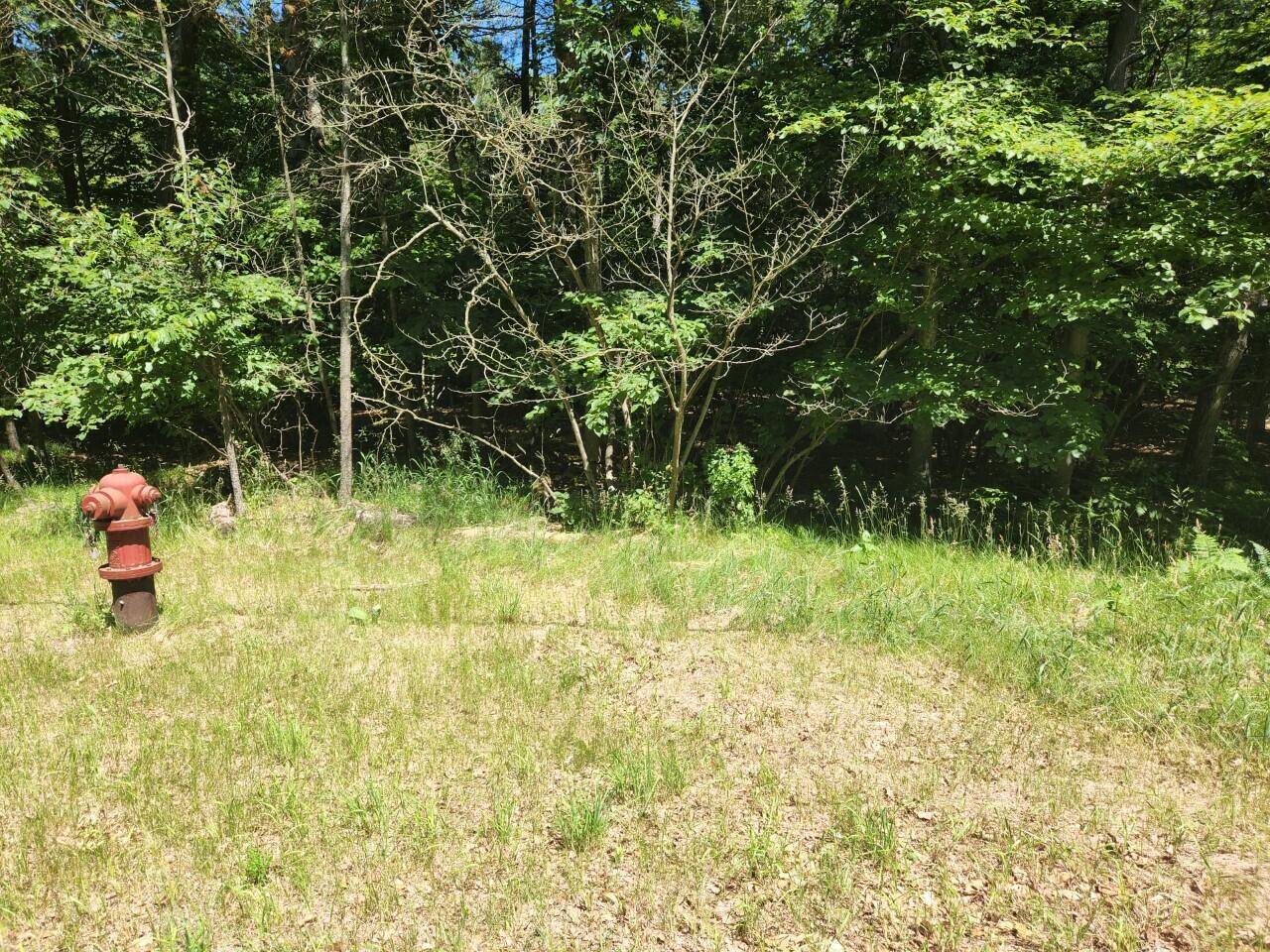 Montague, MI 49437,V/L Chippewa DR