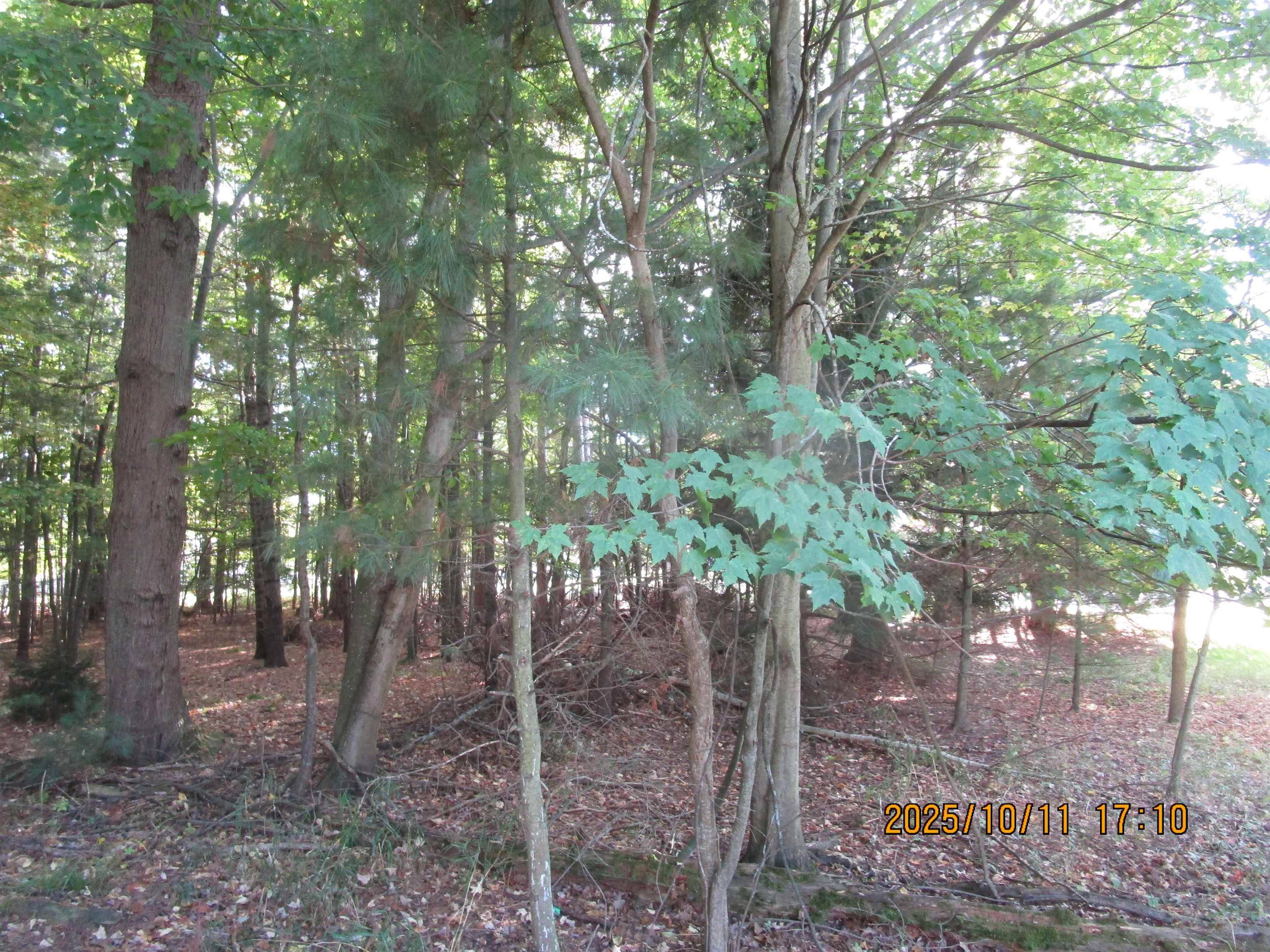 00 E Franklin ST, Baldwin Twp, MI 48730