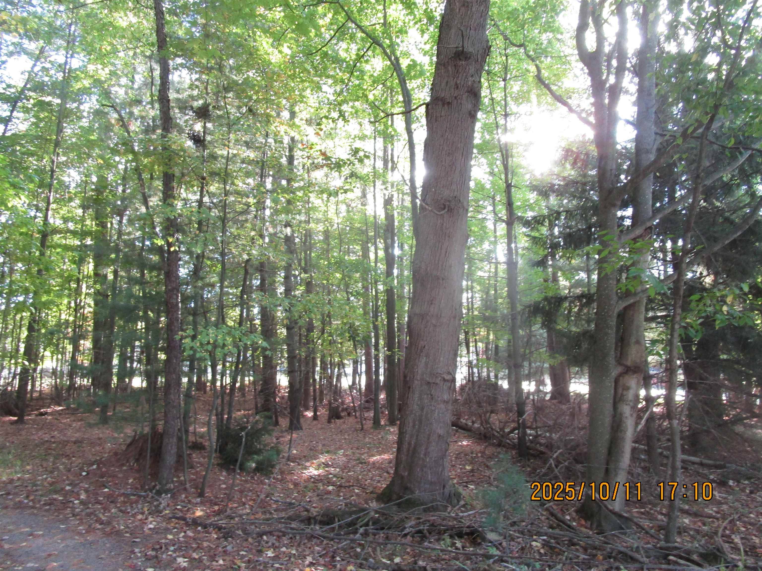 00 E Franklin ST, Baldwin Twp, MI 48730