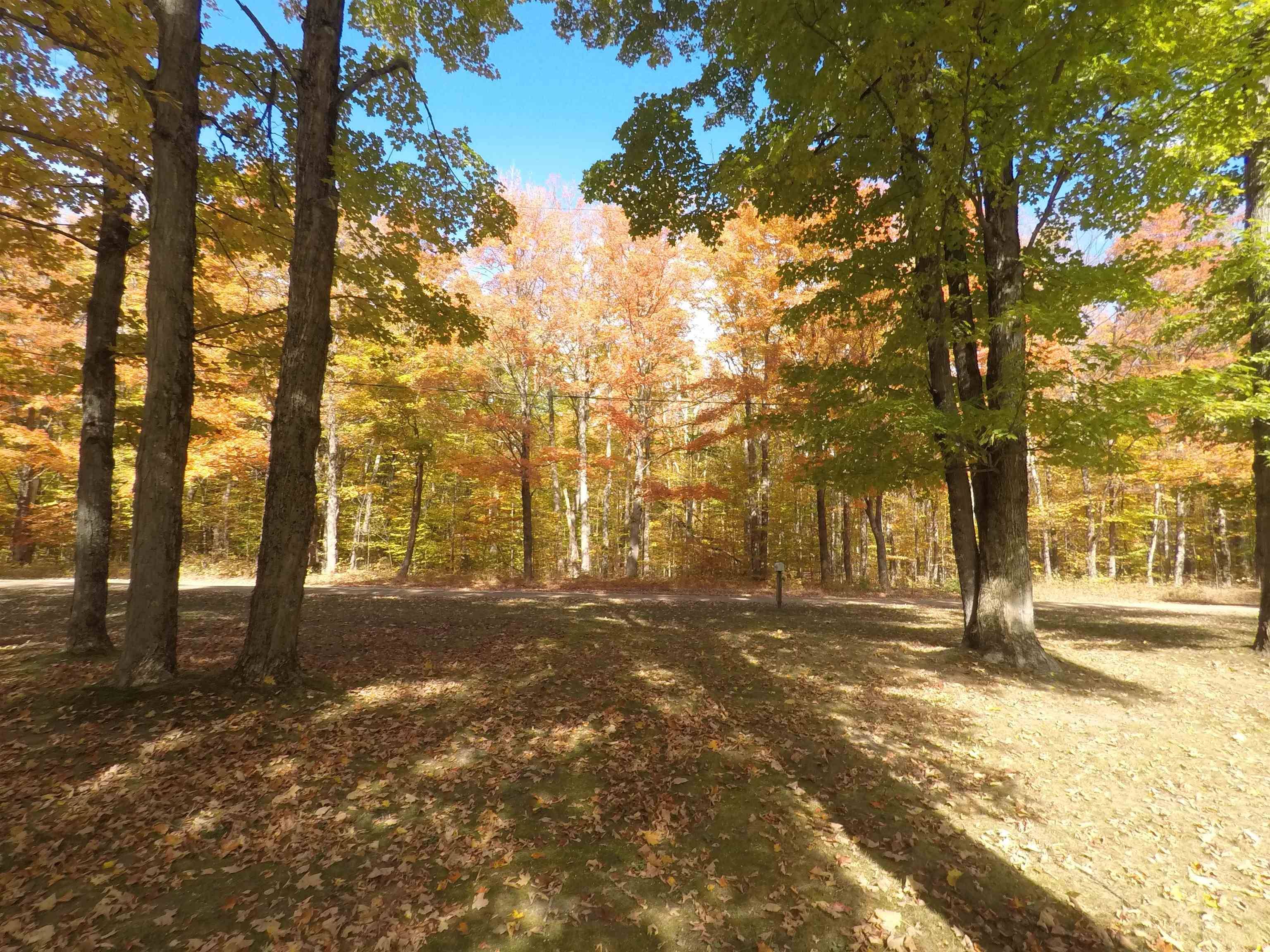 Harrietta, MI 49638,7841 W 28 RD