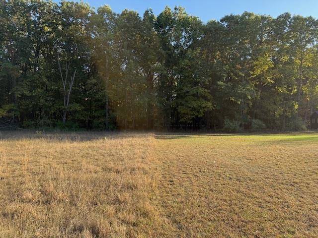 Mount Pleasant, MI 48858,TBD Hiawatha DR