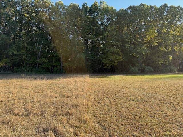 Mount Pleasant, MI 48858,TBD Hiawatha DR