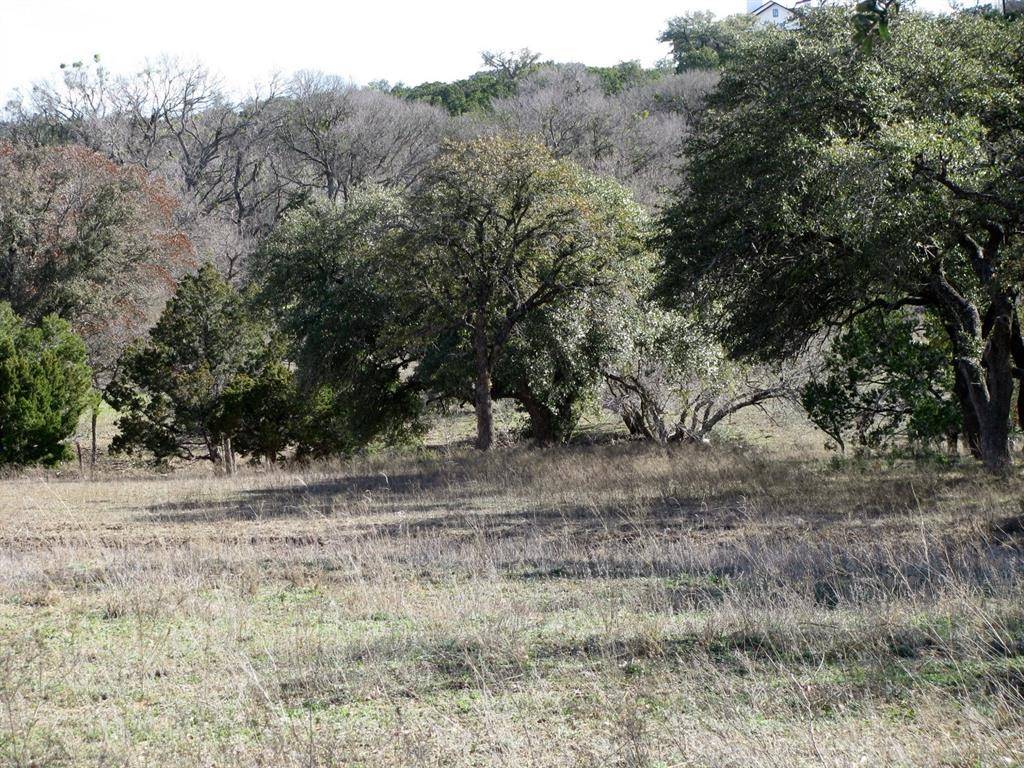 1466 Buffalo Creek Dr Drive, Evant, TX 76525
