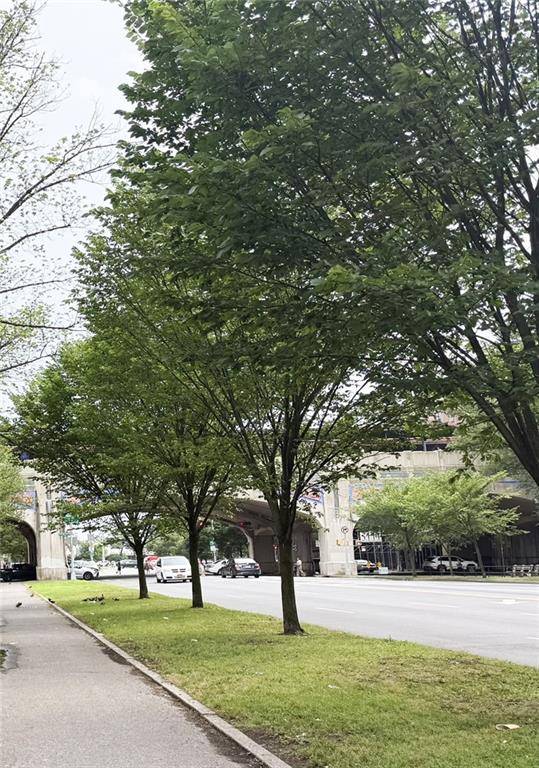 Brooklyn, NY 11235,3039 Ocean Pkwy #B6