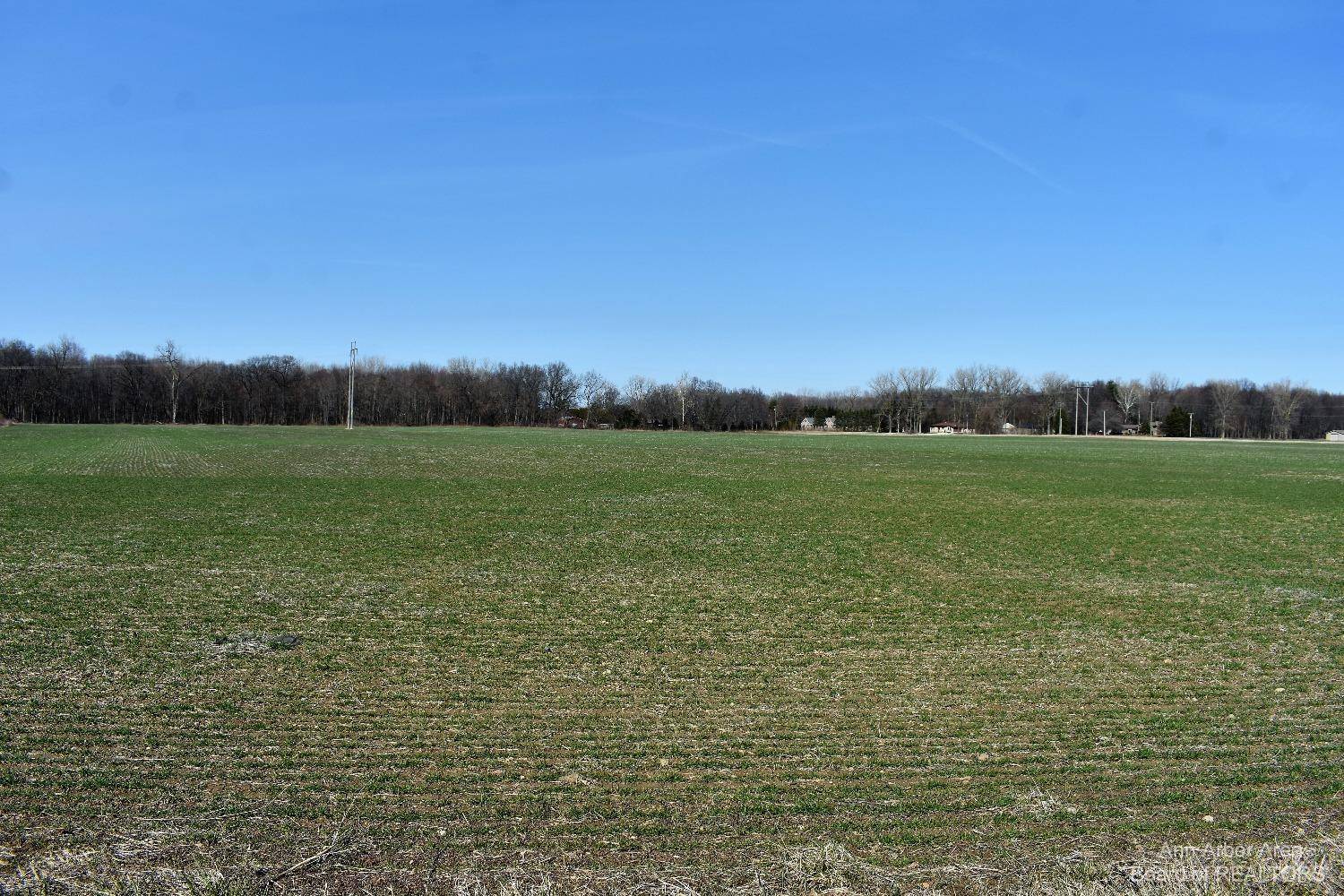 Dundee, MI 48131,1 Plank RD