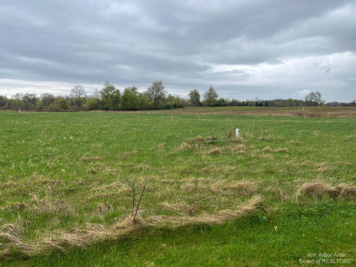 Fowlerville, MI 48836,0 Lindemere DR