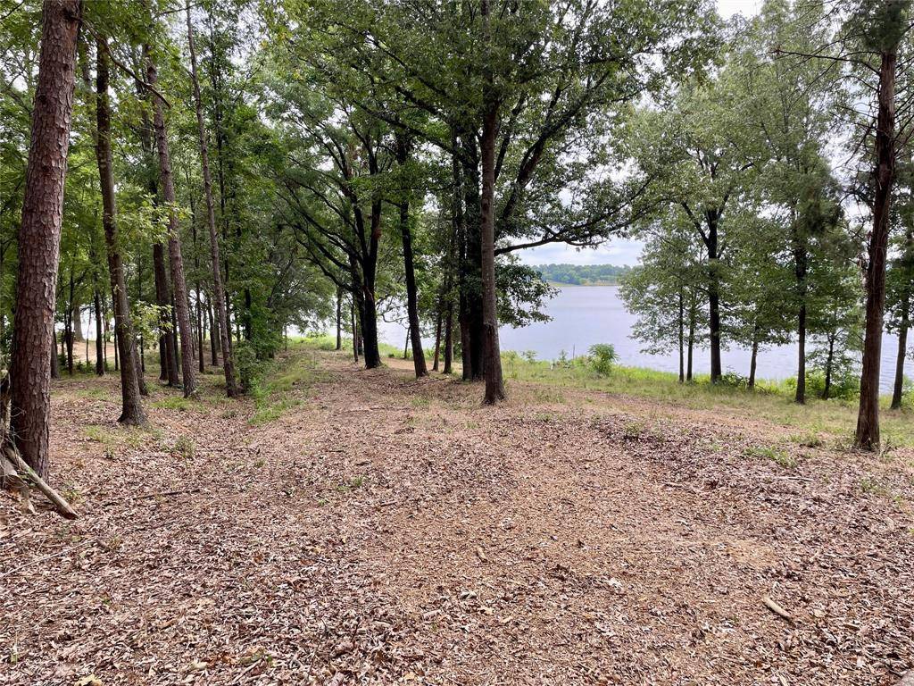 Scroggins, TX 75480,101 Sterling Shores Drive