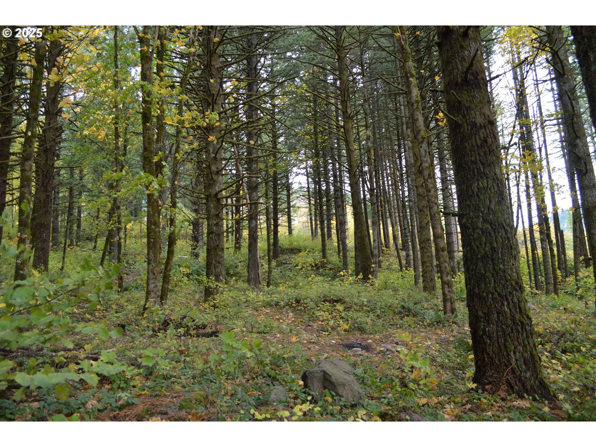 North Bonneville, WA 98639,Warren RD #3