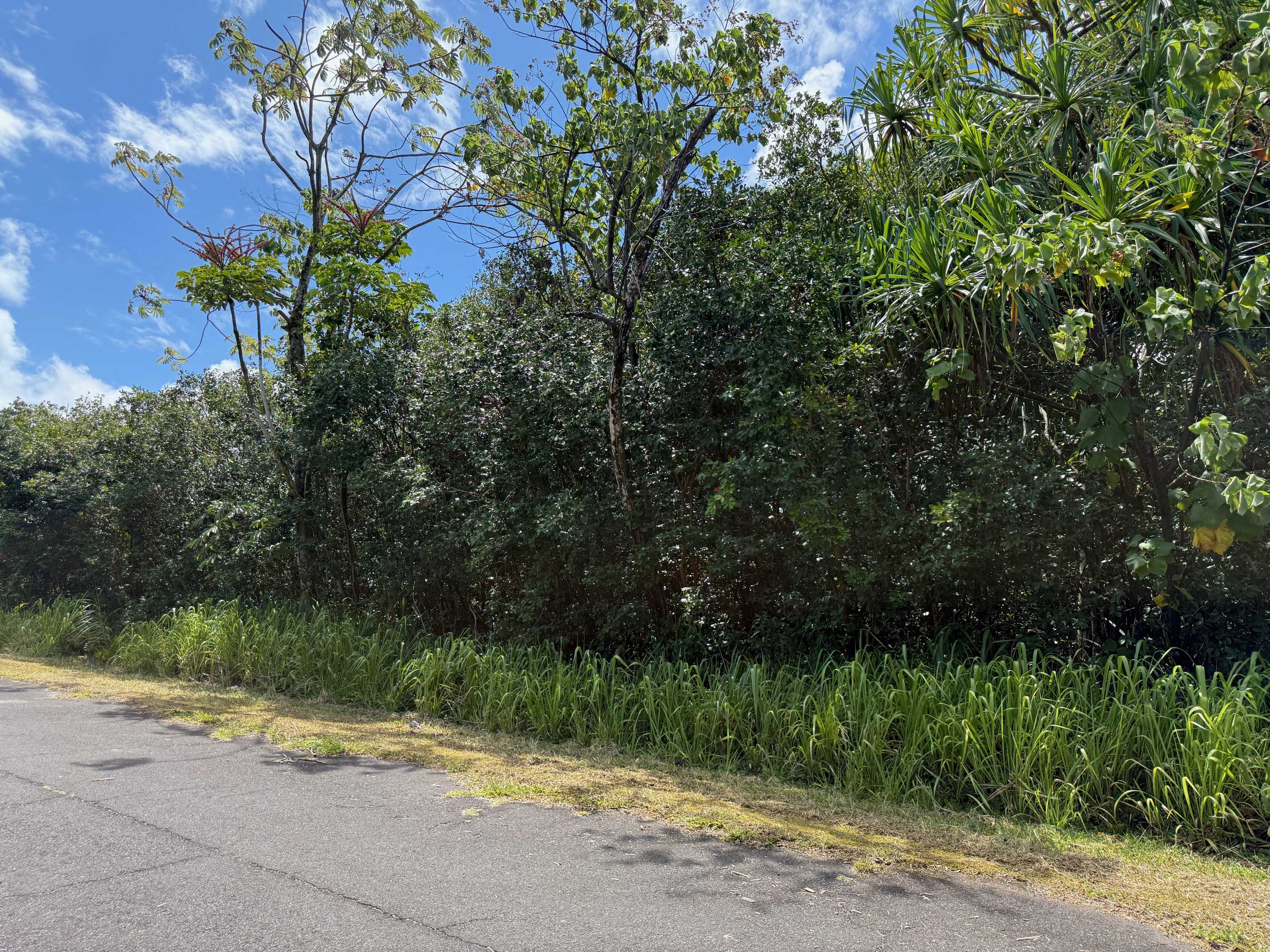 Pahoa, HI 96778,WEHELAUNIU ST