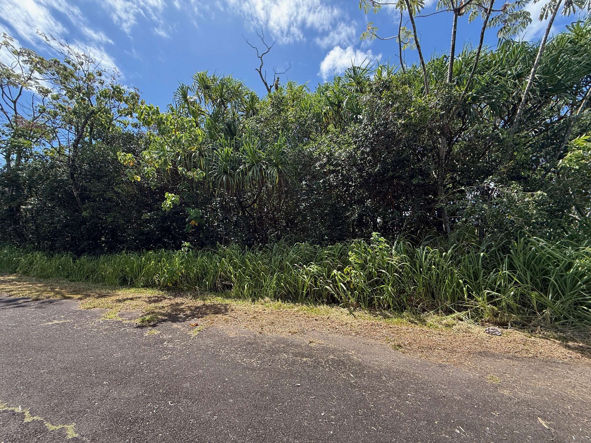 Pahoa, HI 96778,WEHELAUNIU ST