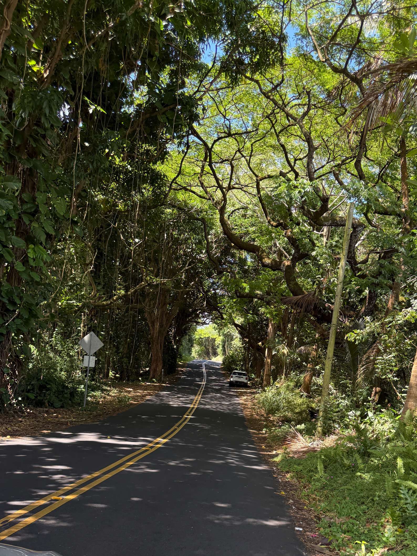 Pahoa, HI 96778,WEHELAUNIU ST