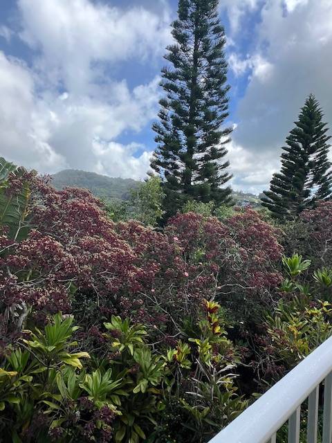 Kalaheo, HI 96741,3320-B WAWAE RD