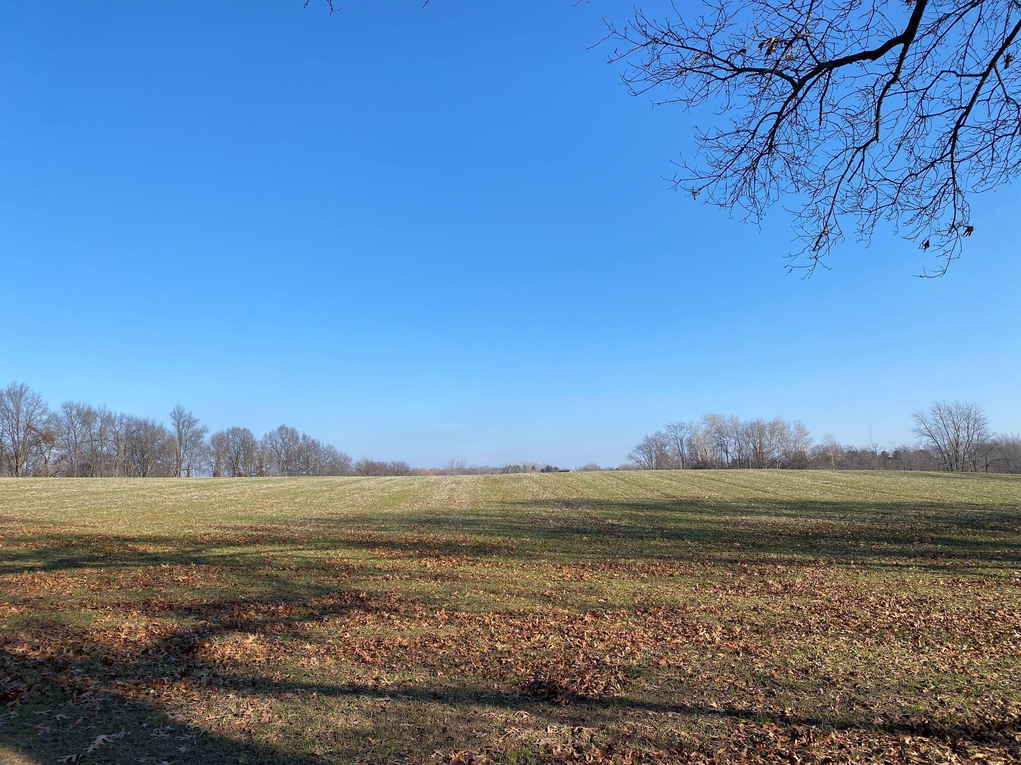 Chelsea, MI 48118,0 Leeke RD