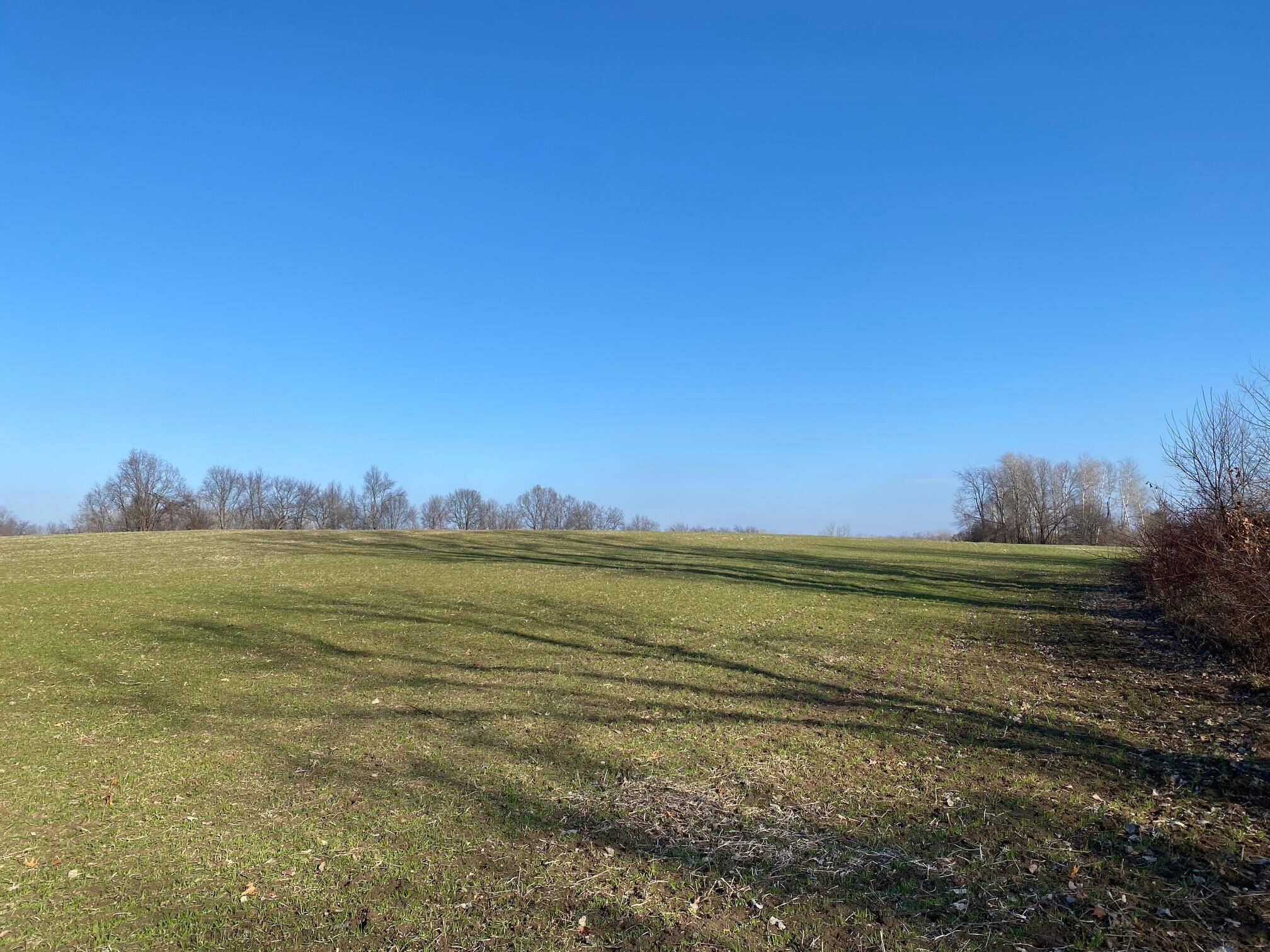 Chelsea, MI 48118,0 Leeke RD