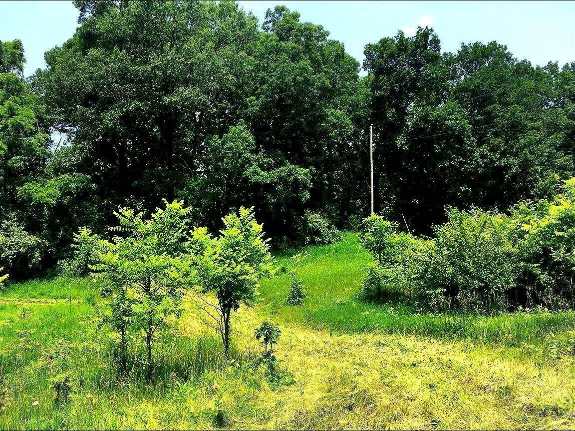 Manchester, MI 49236,0-17 Austin Rd.