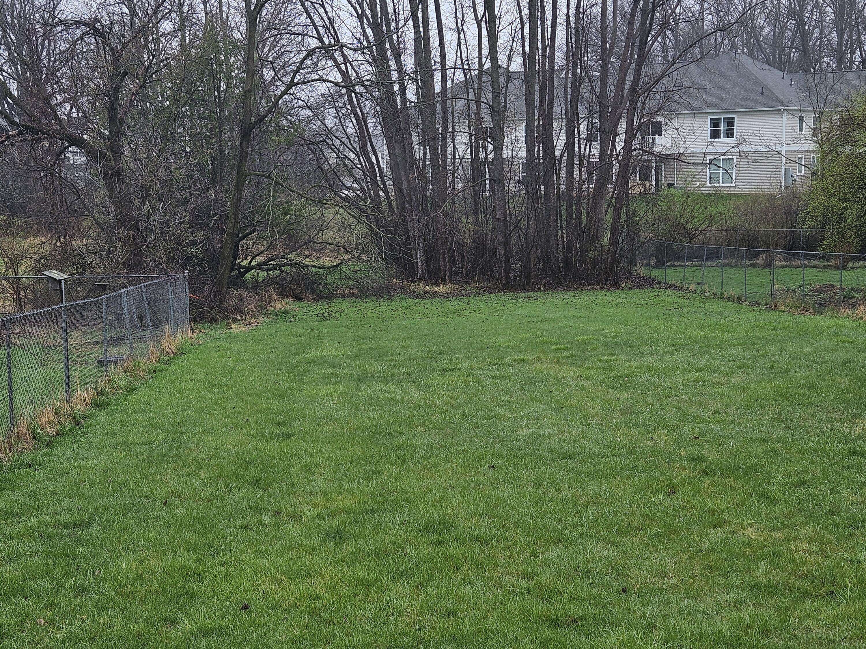 Chelsea, MI 48118,414 Wilkinson ST