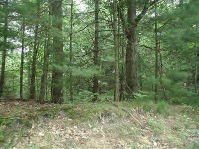 Pentwater, MI 49449,VL W Sunset AVE